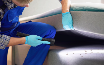How Often You Should Have Your Home Treated for Pests in Northern Nevada