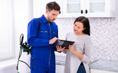 How Much Bed Bug Treatment Costs in Reno, Sparks, and Northern Nevada?
