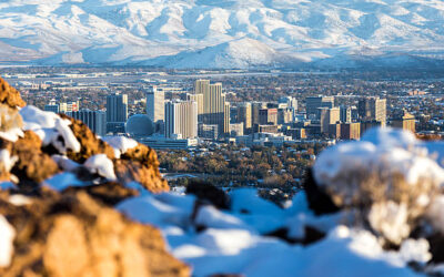 What Are The Most Common Pests in Sparks, NV?