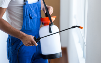 How Much Pest Control Costs in Northern Nevada and What Affects Your Price
