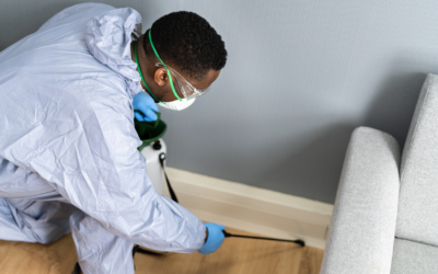 What is Integrated Pest Management (IPM)?