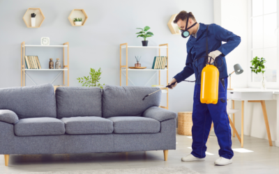5 Essential Questions to Ask Before Hiring a Pest Control Company