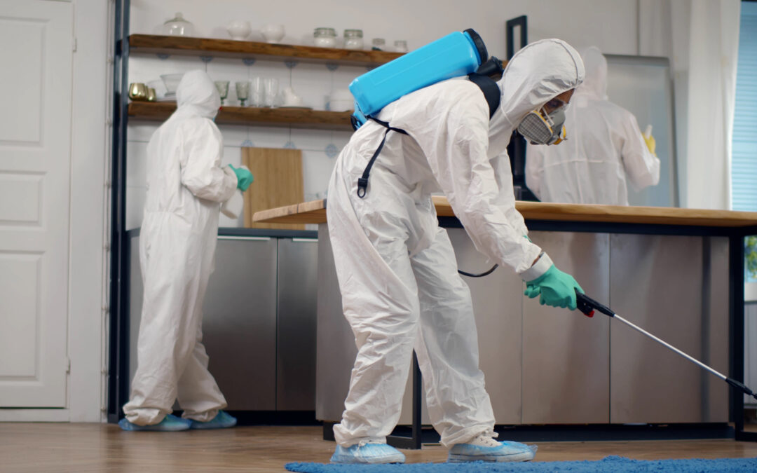 How Often Should Commercial Properties Have Pest Control in Northern Nevada?