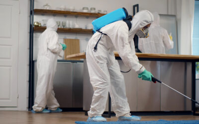 How Often Should Commercial Properties Have Pest Control in Northern Nevada?