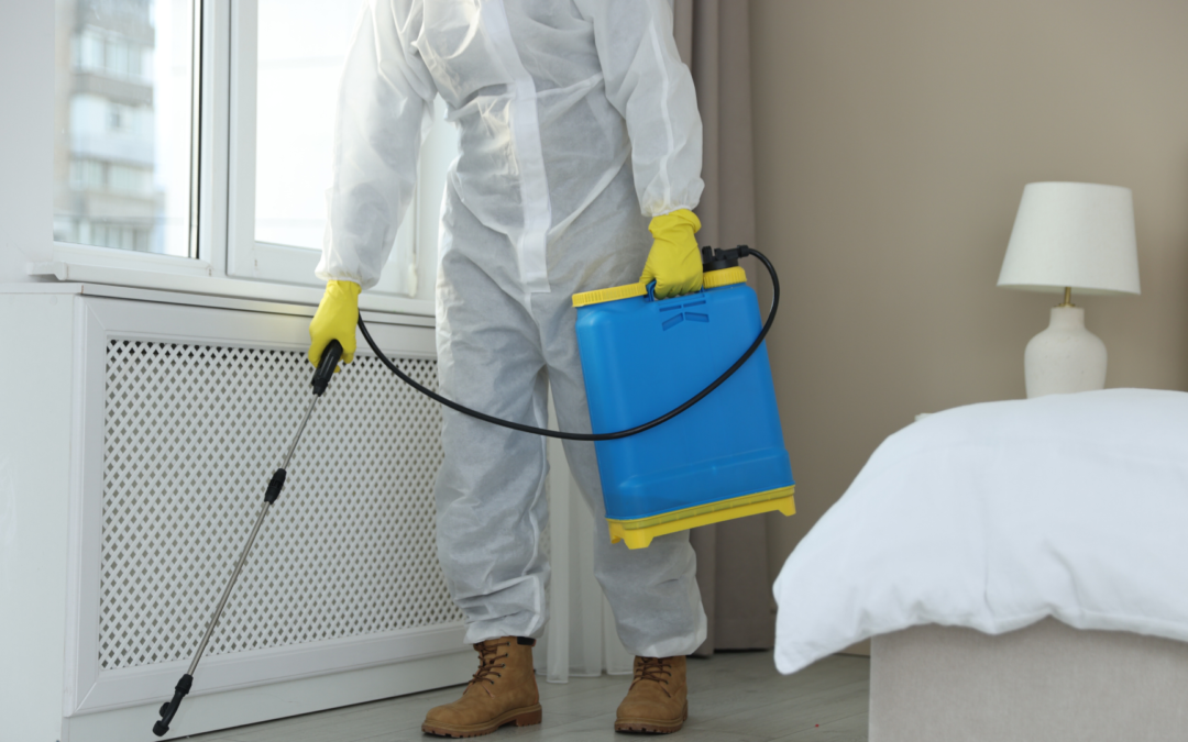 Do I Need to Leave My Home During Pest Treatment?