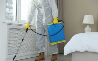 Do I Need to Leave My Home During Pest Treatment?