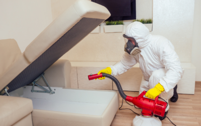 What Should I Do To Prepare For A Pest Control Visit?